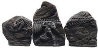 HAGEN Marina Fossil Ornament T-Rex 3-teilig