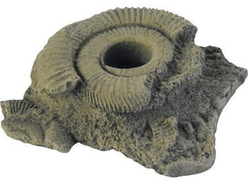 Variogart Pflanzhilfe 11 Fossilien