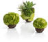 biOrb Korallenball Set