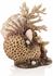 biOrb Korallen-Muschel Ornament natural (48360)