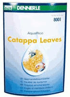 DENNERLE Catappa Leaves 10St&uuml;ck