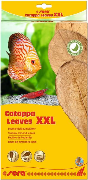 sera Catappa Leaves XXL