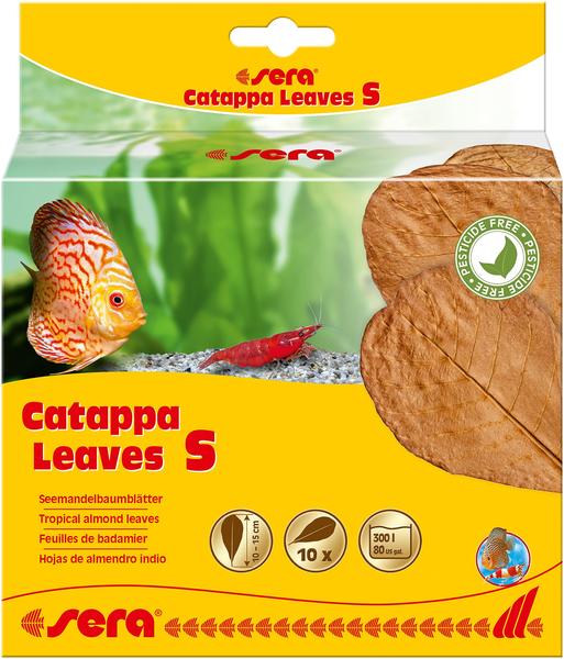 sera Catappa Leaves S