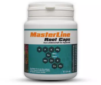 MasterLine Root Caps