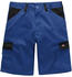 Dickies Everyday Shorts