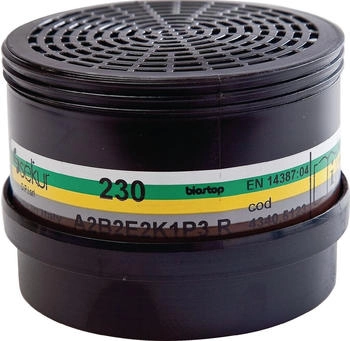 Ekastu Safety Mehrbereichskombifilter 230 A2B2E2K1-P3R D (422346)