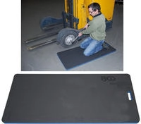 BGS Knieunterlage 4804