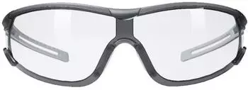 Hellberg Krypton ELC AF/AS Schutzbrille mit Gesichtsschutz (21531-001)