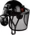 Tacklife Schutzhelm mit Gehörschutz und Netzvisier, schwarz (PA-H2VBE90011B)