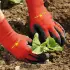 Wolf-Garten Beet-Handschuh Boden GH-BO 7