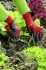Wolf-Garten Beet-Handschuh Boden GH-BO 7