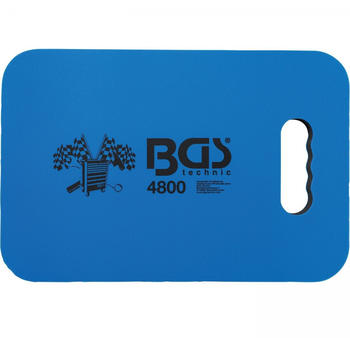 BGS BGS4800