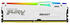 Kingston FURY Beast RGB 16GB DDR5-6000 CL30
