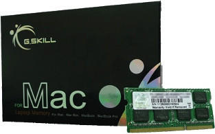G.Skill 8GB SO-DIMM DDR3 PC3-12800 CL11 (FA-1600C11S-8GSQ)