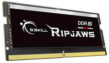 G.Skill Ripjaws 16GB DDR4-4800 CL40 (F5-4800S4039A16GX1-RS)