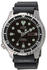 Citizen Promaster NY0040