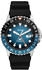 Fossil Blue GMT