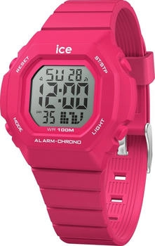 Ice Watch 22100