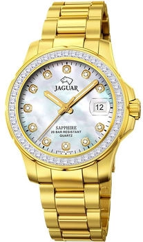 Jaguar Executive Dame J895/1