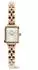 Daniel Wellington Quadro Mini Arch 3-Link