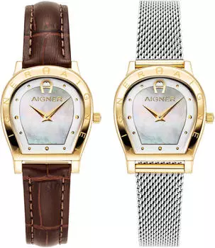 Aigner Armbanduhr (AGW.276001-SET)