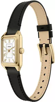 Fossil Raquel 22 x 18 mm (ES5470)