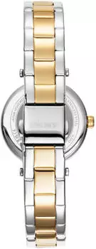 DKNY Essential Mini (DK1L043M0075)