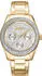 DKNY Chambers Multi Glitz (DK1L078M0025)