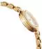 Daniel Wellington Elan Lumine gold