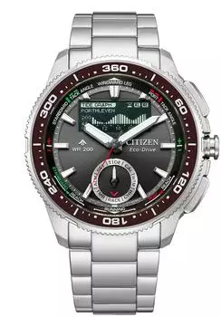 Citizen Promaster JV3001-53E