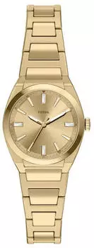 Fossil Everett 27 mm (ES5492)
