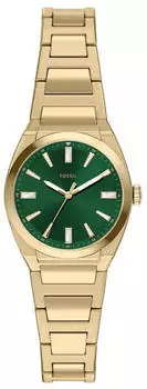 Fossil Everett 27 mm (ES5493)