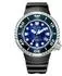 Citizen Armbanduhr EM1060