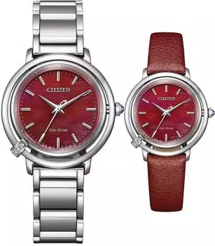 Citizen EM1090-78X
