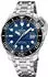 Festina Cosc F20043