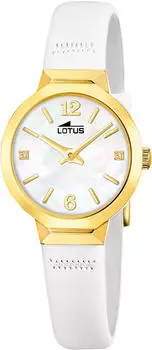 Lotus Old Money 19029/1