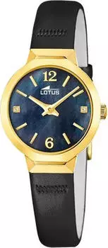 Lotus Old Money 19029