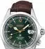 Seiko Prospex Land Automatic Alpinist (SPB121J1)
