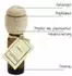Traumduft Piccolino Melisse Royal Duftöl 10 ml