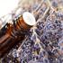 Spinnrad Ätherisches Öl Lavendel Maillette (50 ml)