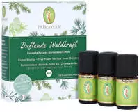 Set Duftende Waldkraft 1 P