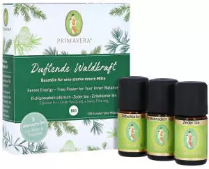 Primavera Life Duftende Waldkraft (3x5ml)