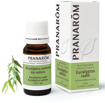 Pranarôm Essential Oil Eucalyptus Radiata (10ml)