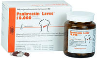 Pankreatin Laves 10.000 Ph.Eur-Einheiten 200 St
