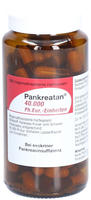 Pankreatan 40.000 Ph.eur.-einheiten 100 St