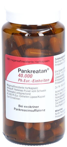 Pankreatan 40.000 Ph.eur.-Einheiten magensaftresistente Hartkapseln (100 Stk.)