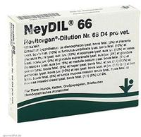 Neydil Nr.66 Revitorgan Dil.D 4 pro Ampu 5X2 ml