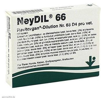 vitOrgan NeyDIL Nr. 66 Revitorgan D4 pro vet. Ampullen