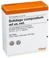 PZN-DE 04404390, Solidago comp. Heel Ampullen Inhalt: 10 St