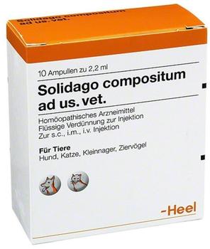 Heel Solidago Compositum ad us. vet. Ampullen 10 Stück